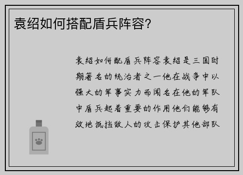 袁绍如何搭配盾兵阵容？